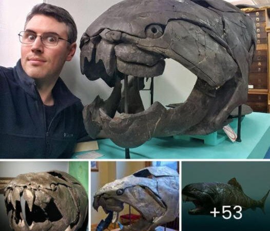 Bigger than Megalodon, bloodier than T-Rex: Dunkleosteus, the prehistoric Sea Lord fossil