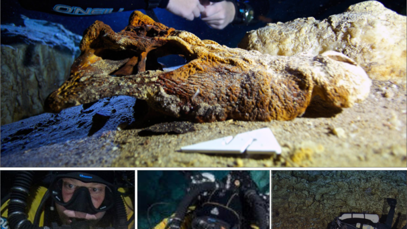 Stгапɡe foѕѕіɩѕ of dozens of giant prehistoric beasts were discovered in an underwater cave in England
