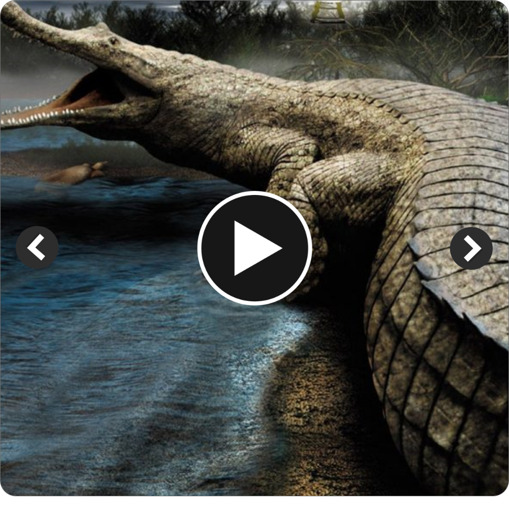 Meet Sarcosuchus: The 40-Foot Prehistoric Monster Crocodile That Ruled the Dinosaur Hunt