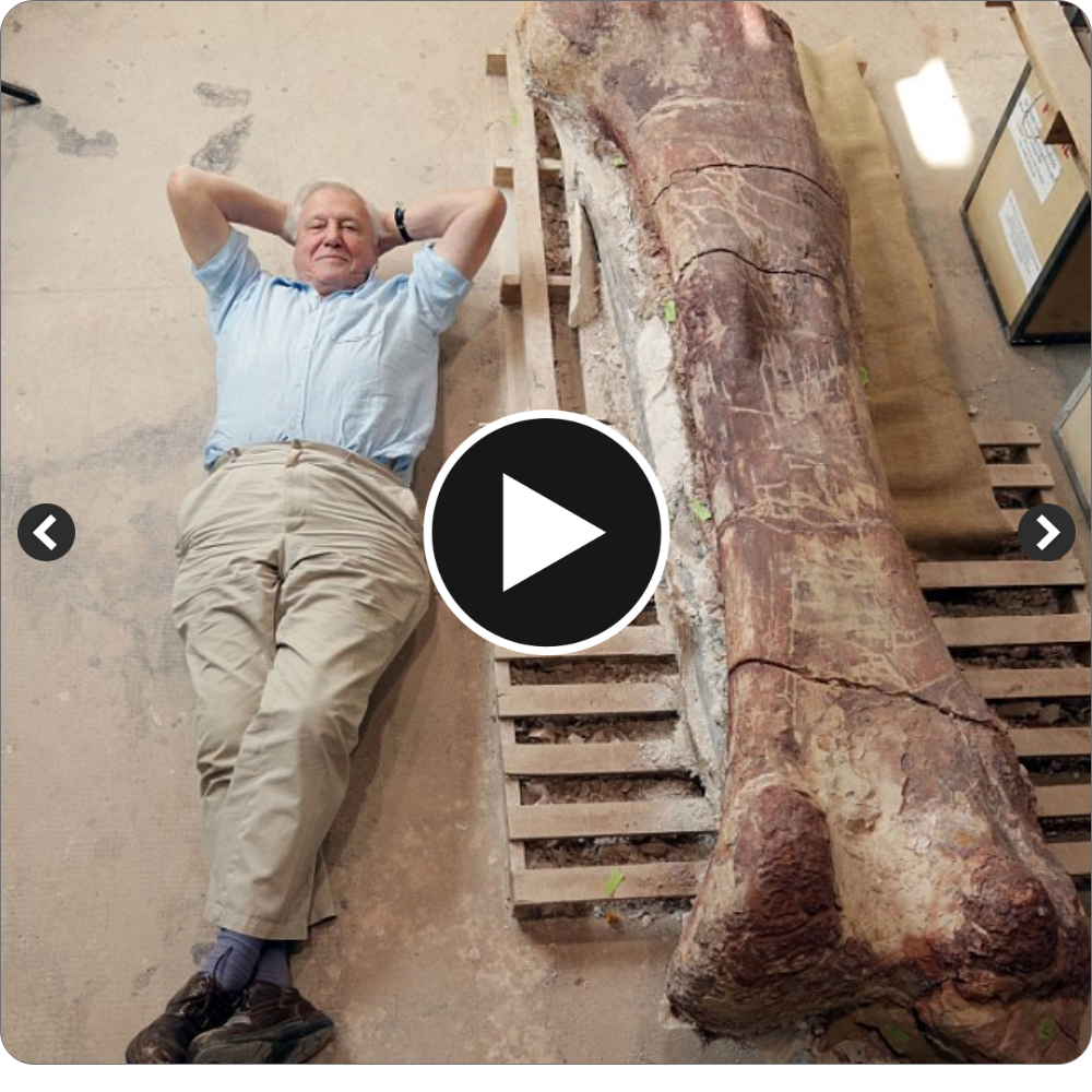David Attenborough follows the story of how experts found the world’s largest dinosaur measuring 121ft – and its һeагt weighed more than THREE people