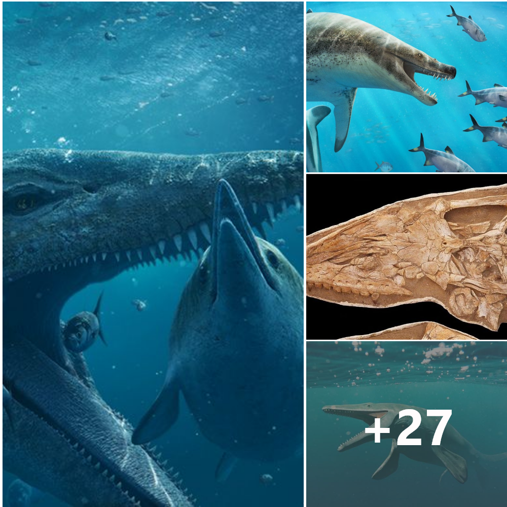 Ancient, Violent Sea Monster Discovered Alongside Its Victims